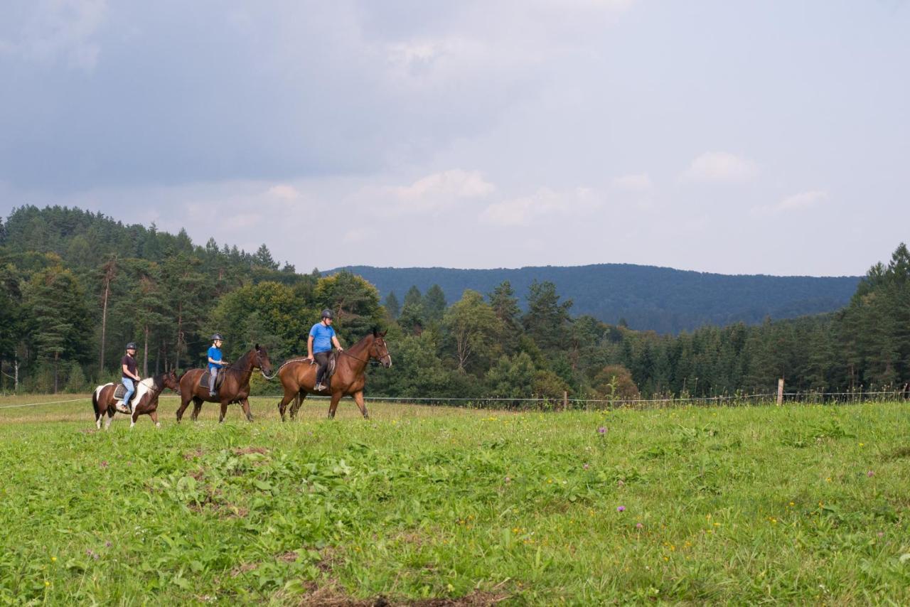 Hotel Karino Spa Polanczyk Luaran gambar